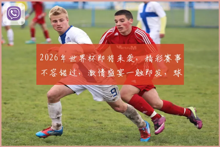 2026年世界杯即将来袭，精彩赛事不容错过，激情盛宴一触即发，球迷狂欢