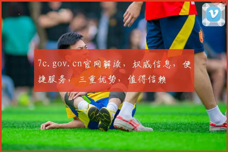 7c.gov.cn官网解读，权威信息，便捷服务，三重优势，值得信赖